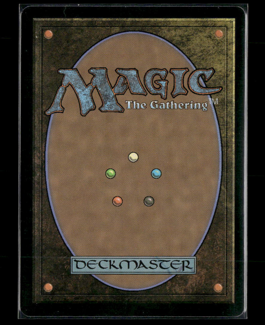 Hallowed Fountain #0265 Rare - Magic: The Gathering Eternal Collection