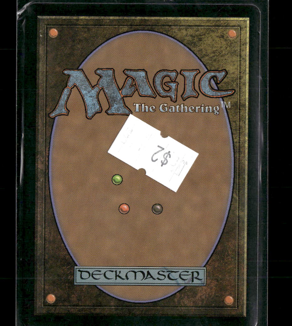 Abandoned Air Temple #0263 - Magic: The Gathering