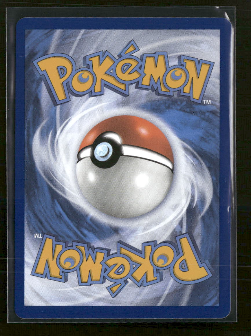 SWSH: Sword & Shield Promo Cards Lucario VSTAR #SWSH291