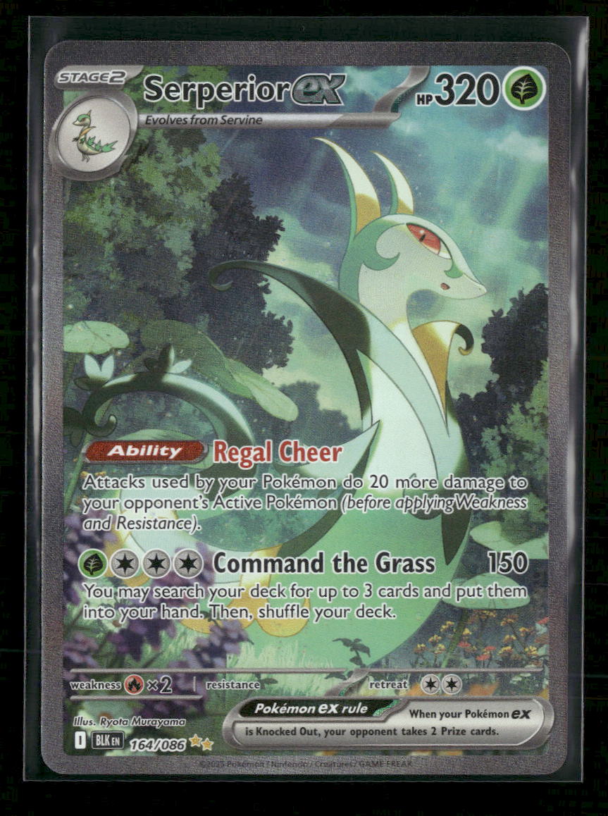 SV: Black Bolt Serperior ex Holo #164/086