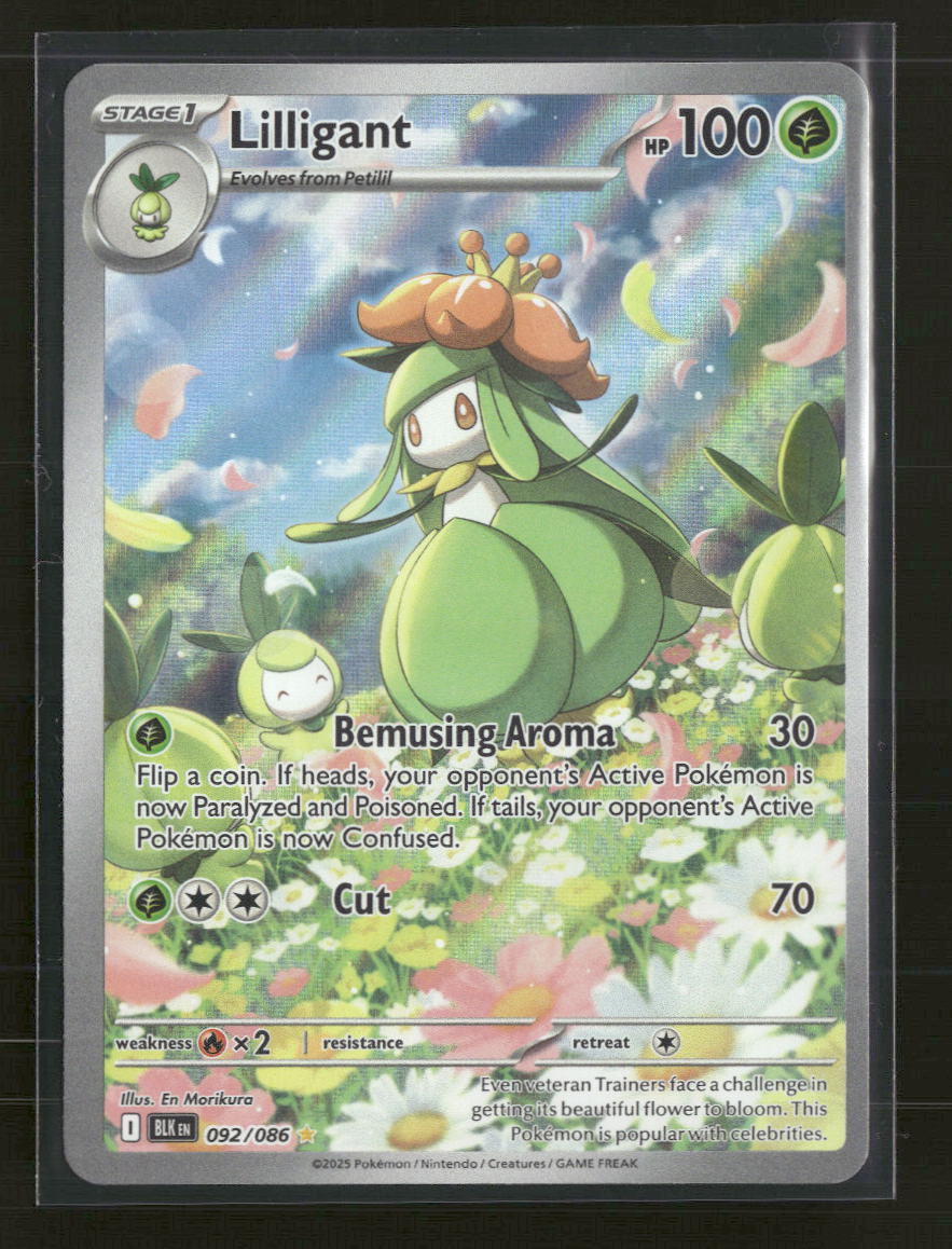 SV: Black Bolt Lilligant #092/086