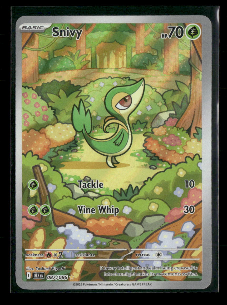 SV: Black Bolt Snivy #087/086