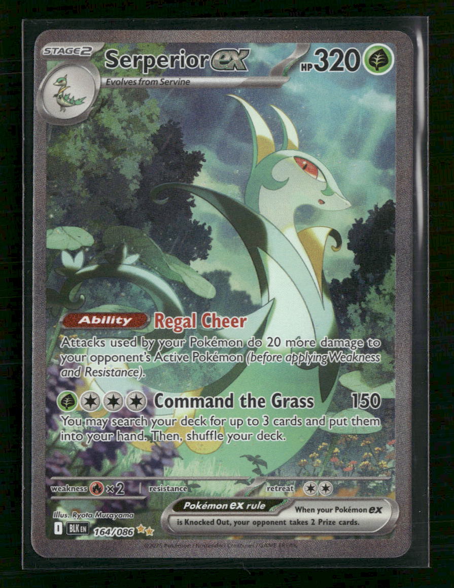SV: Black Bolt Serperior ex #164/086