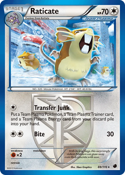 Raticate (88/116) [Black & White: Plasma Freeze]