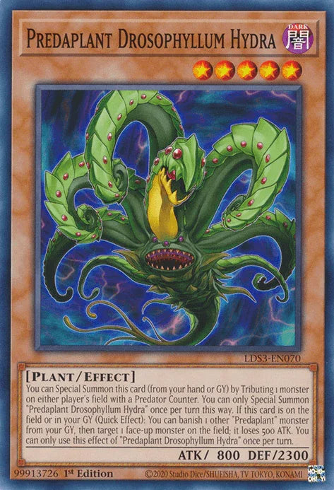 Predaplant Drosophyllum Hydra [LDS3-EN070] Common